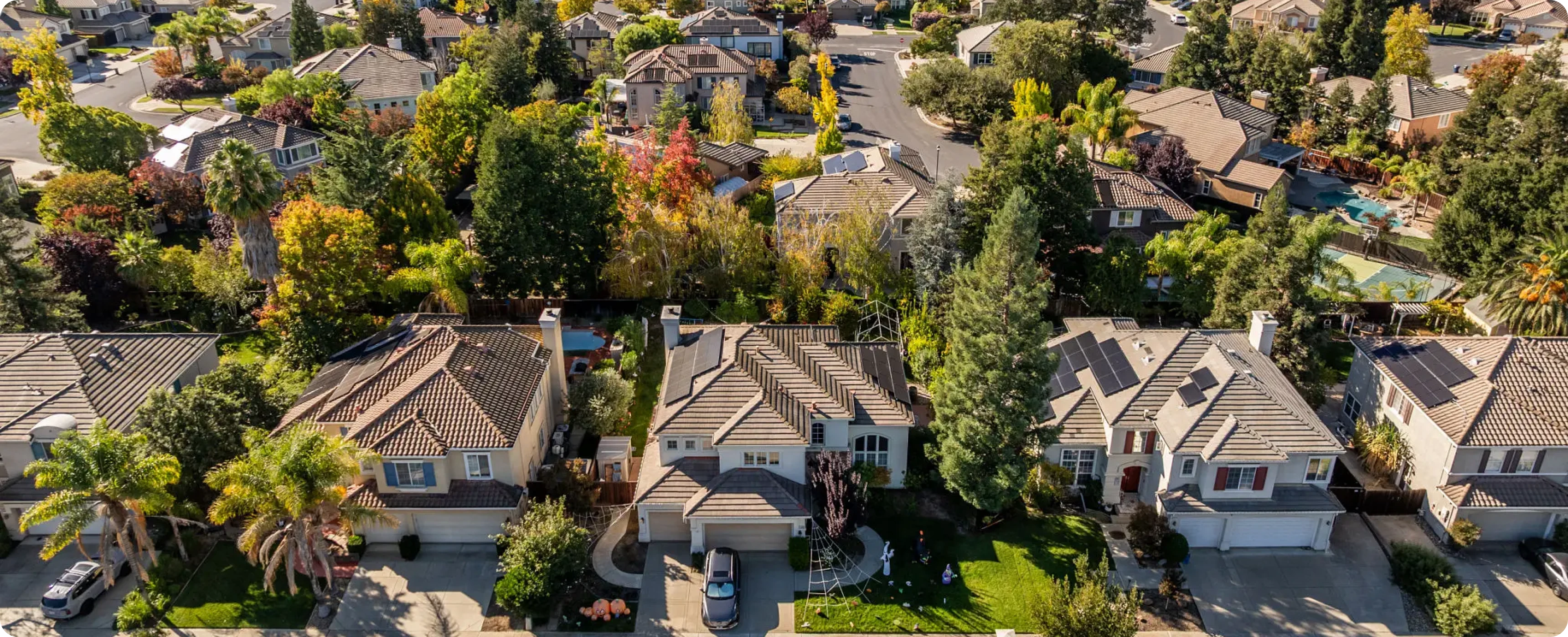 Tree-lined streets in a suburban area